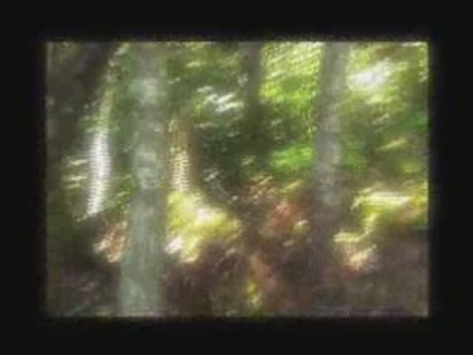 Faune en or
