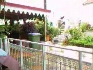 Matin studieux et mamie soignant ses plantes