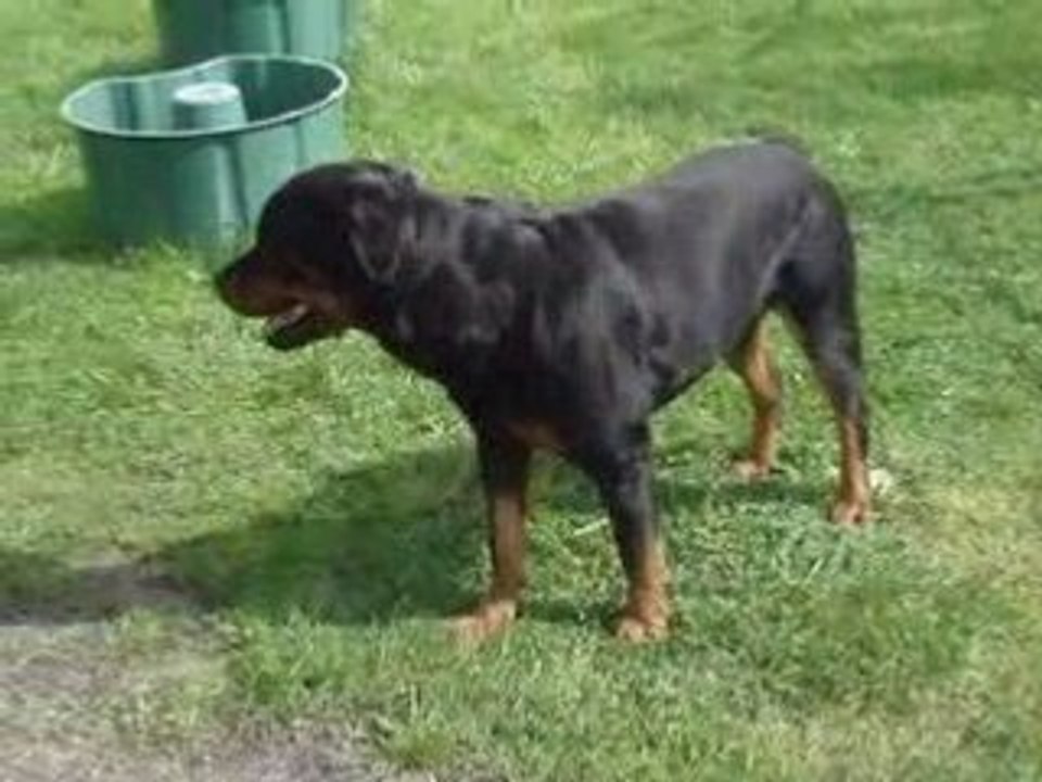 U'tao du Clos des Allées et Caly