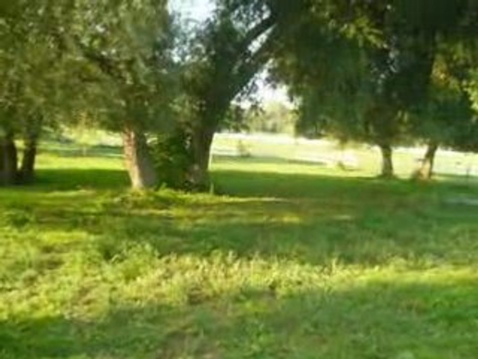 Ondine en Cross 2
