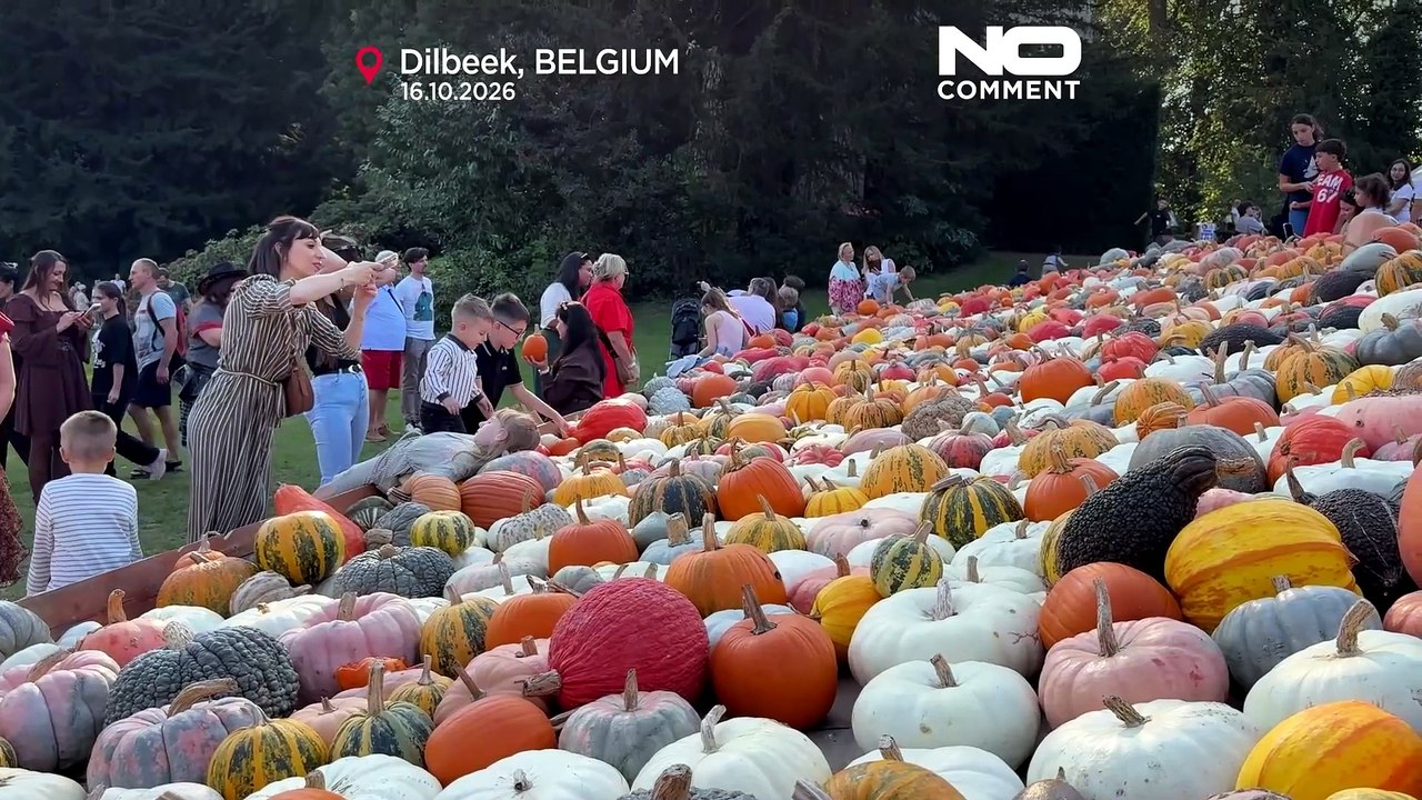 Belgien: pumpkimania-festival verwandelt schloss groot-bijgaarden