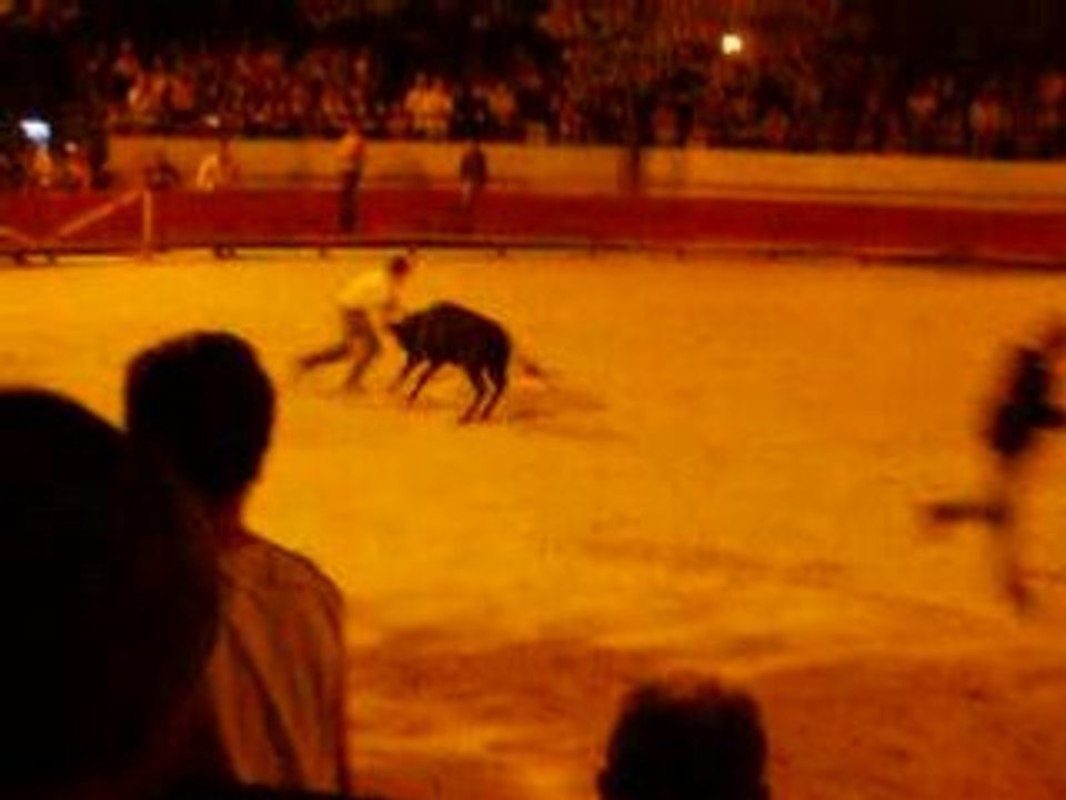 Veau de la manade Lafon