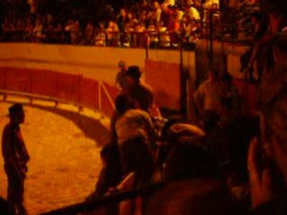 Rodéo taureau camargue