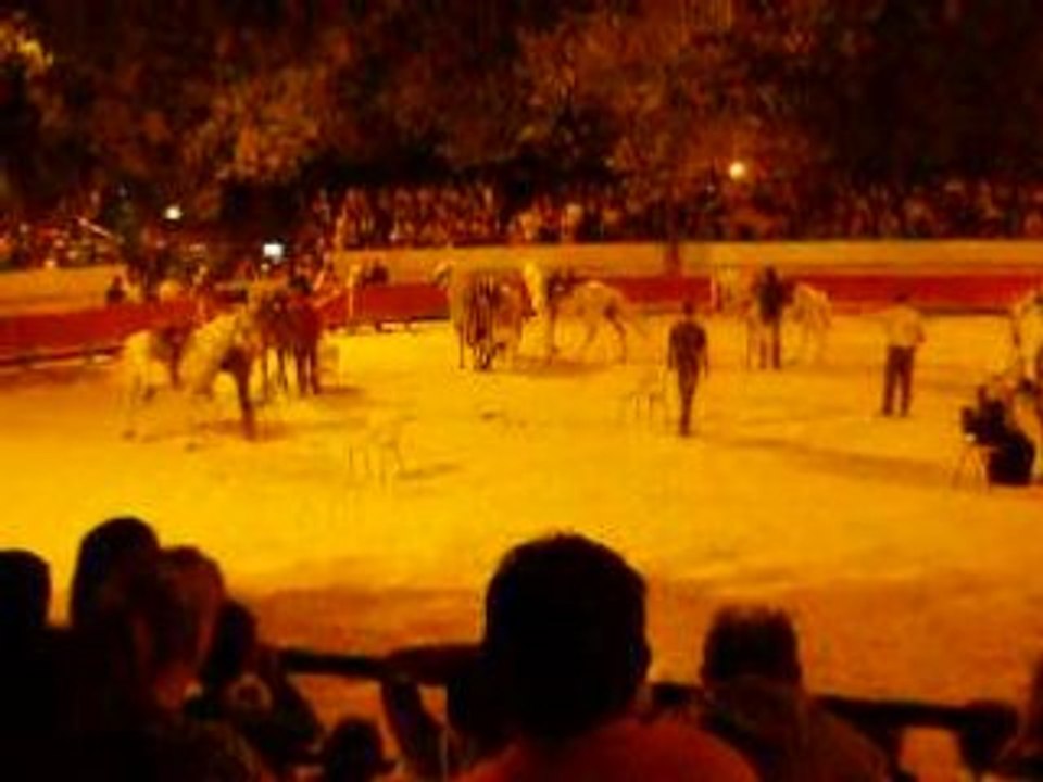 Jeu de la chaise musicale