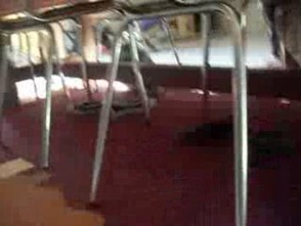 mon chat oliver tromatiser xD