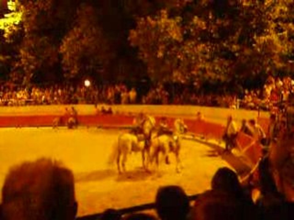 Jeu de la chaise musicale (finale)