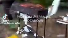 Uważajcie na lasy polskie