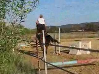 Céline et Okaz : 27.08.08 saut aux Ecurie des Moulières