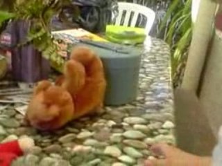 saveriu qui fait le fou n°1