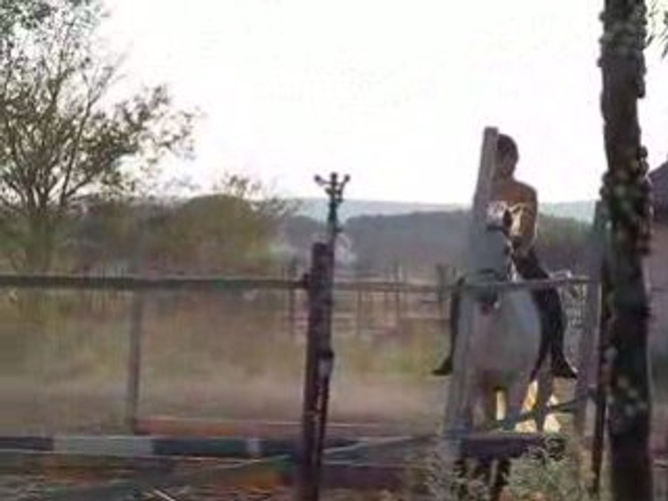 Anne et Loustic : saut le 27.08.08