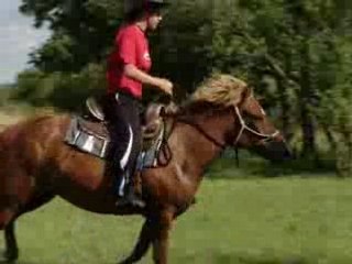 Olina et moi au galop dans la plaine