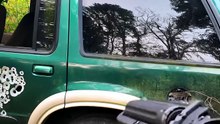 ¿Puede un dardo ponchar la llanta de un auto?