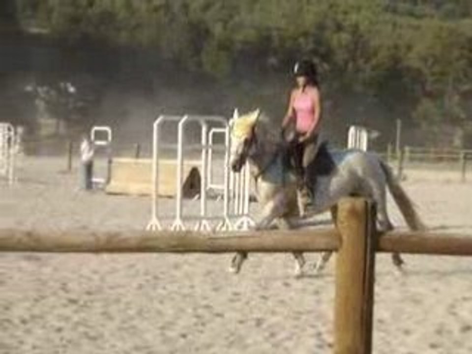 MOV04751PRALINE trot
