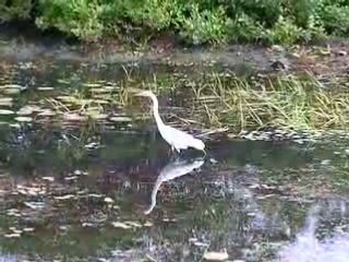 Cherished Memories of Block Island 🌅: What I'll Miss Most