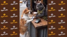 He Was So Happy to Get Some Help 😂 #funnycats #cat #catcomedy