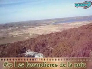 #7 Les Lavandières de la Nuit