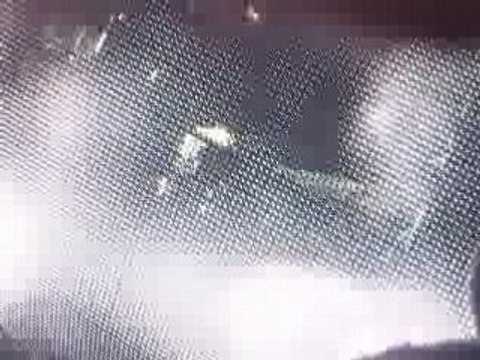 Devil wouldn't recognize you live NICE, Sticky & Sweet Tou