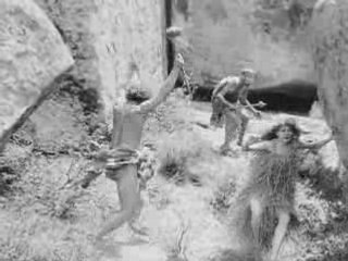 The Fascinating Evolution of Slices: From Nature to the Web 🌐