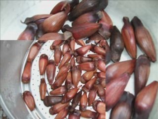 Brazil Pine Nuts