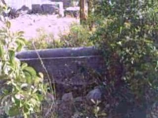 tozkan07 - CEVİZLİ AKSEKİ