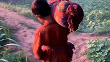 Child Labour: 8.6M Kids Working in Pakistan | Child Labor Fact #1