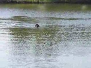 Video taho et arwen nagent 2