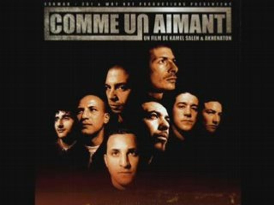 Comme un aimant_ chien de paille