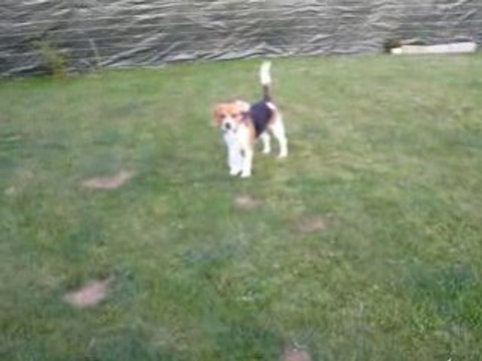Eden la chipie!!!