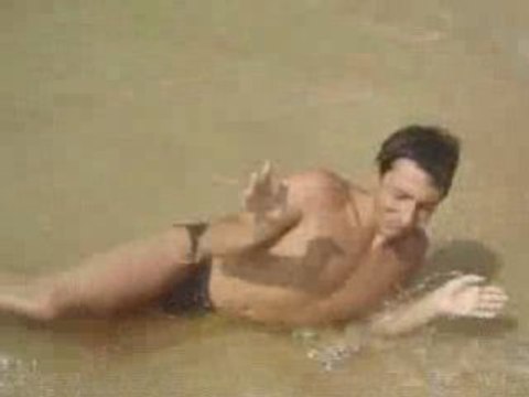 Il tricheco arenato sulla spiaggia