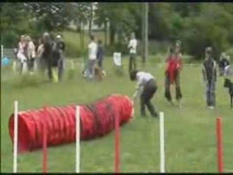Challenge 2008 Courses aux obstacles