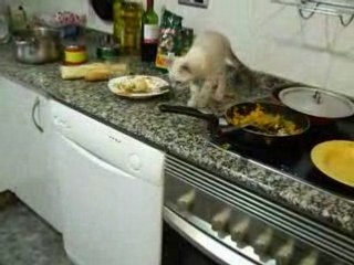 Neus y la Paella
