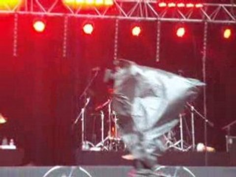 Cali Eurockéennes 2008 belfort 1000 coeurs debout