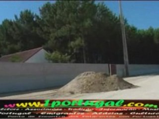 Clube Desportivo - Mata Mourisca - Pombal - 1