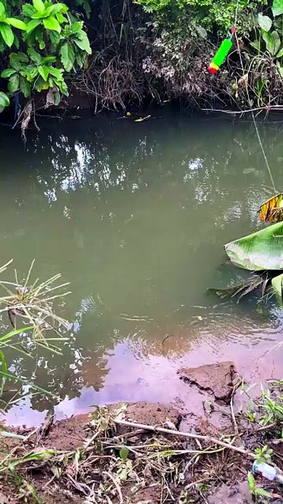 Red Clay Creek, One Fighting Catch 🎣 - video Dailymotion