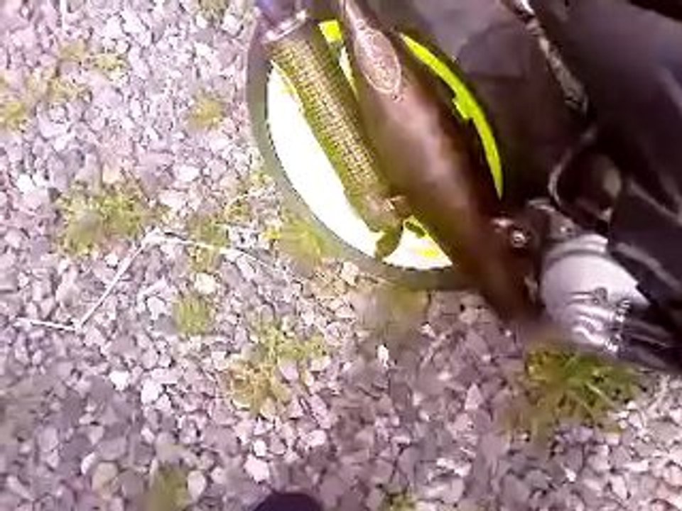 Vidéo-0003