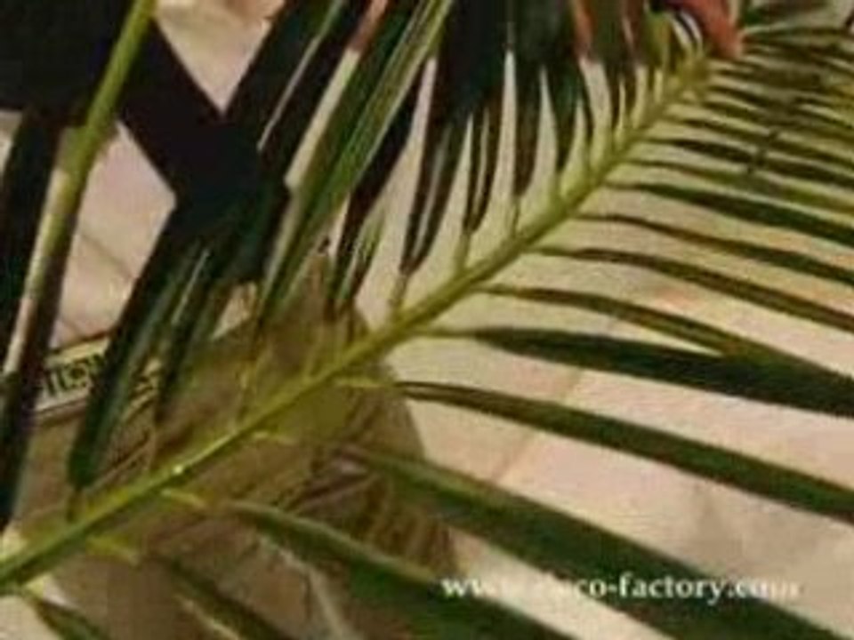 Feuille artificielle de palmier Géante