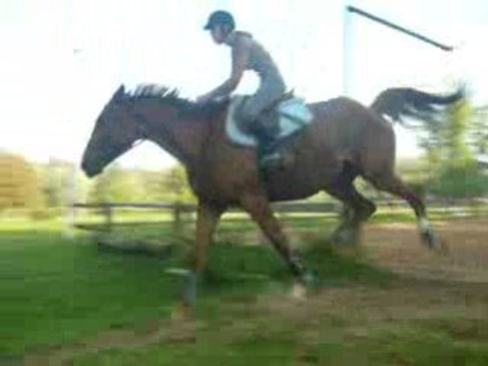 Ondine en Cross 1