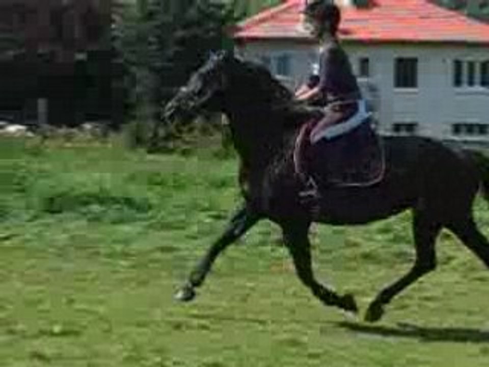 Journée chez liza 069