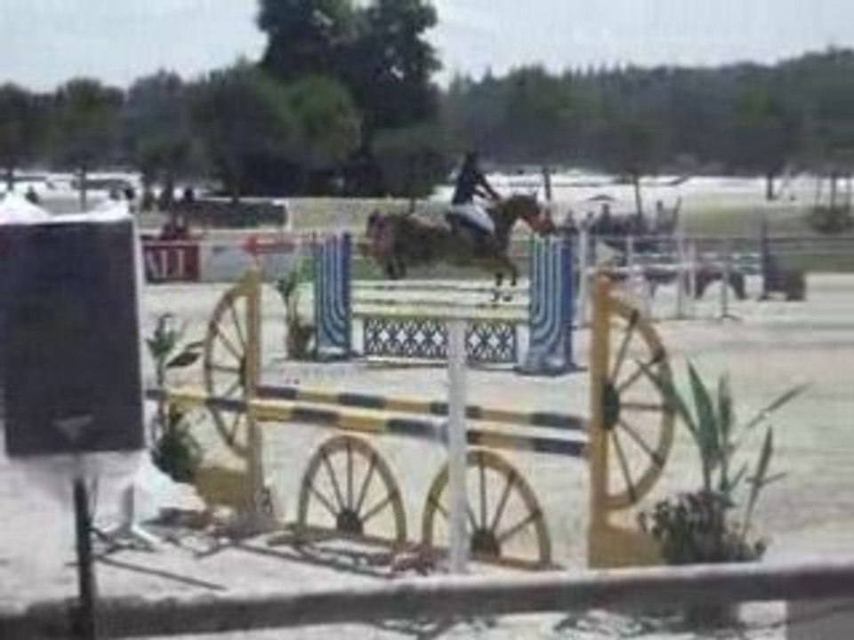 Lamotte beuvron (10)