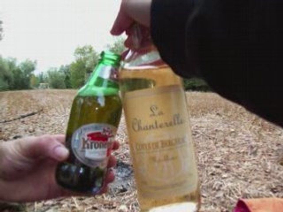 Tomtom & Nana en vacance.avi_0001