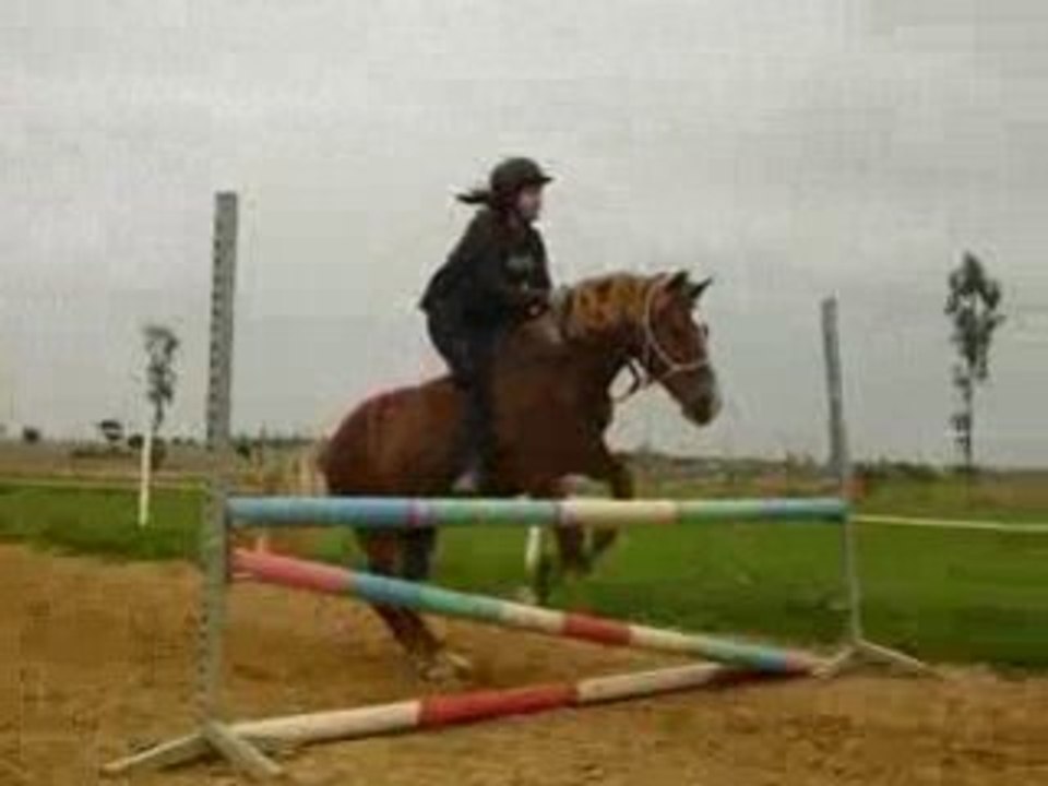 Saut 80 cm à cru Mégane et Pilou