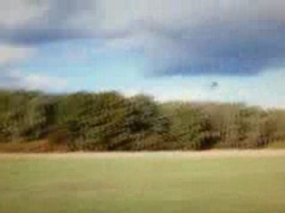 Débuts de voltige sur reflex xtr avec un t-rex 450 se v2