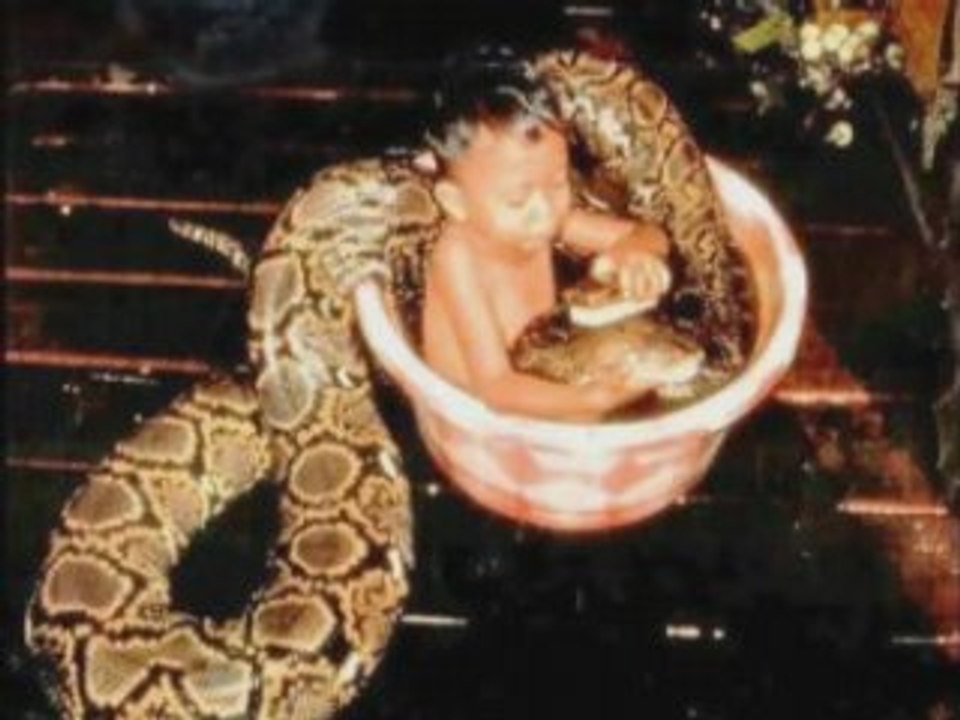 Images insolites du monde