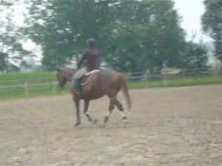 Le bruit du tonnerre