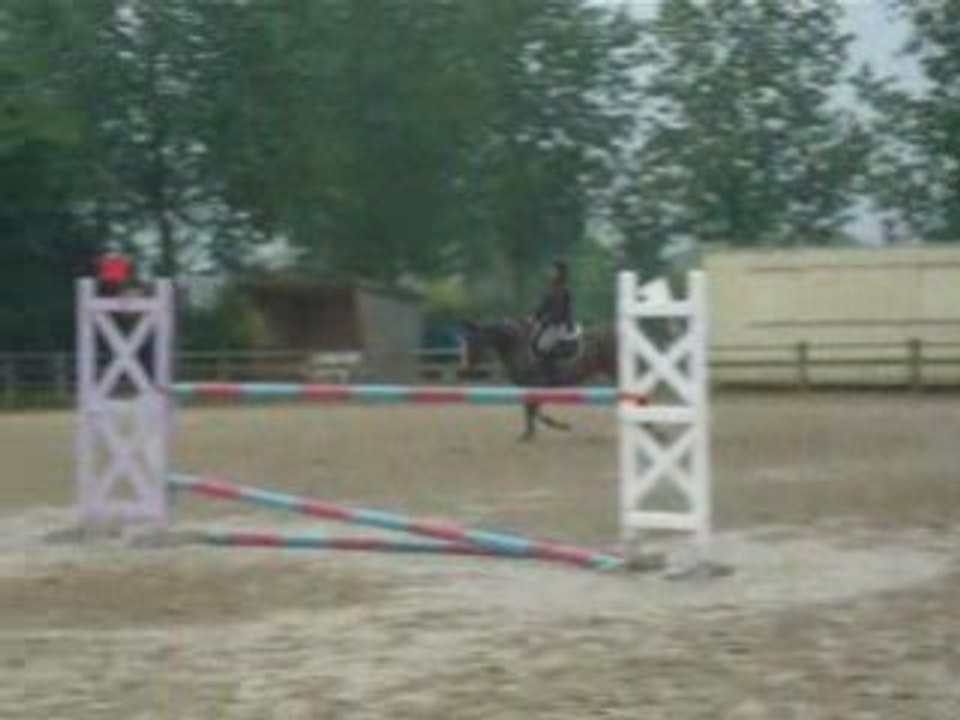 Lure - Lutina au paddock