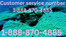 Ultimate Complete Official Definitive List of Priceline Customer Service Guides to Follow