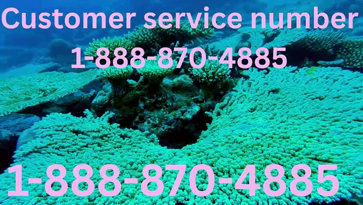 Comprehensive Full Trusted List to Reach Priceline Customer Service ...