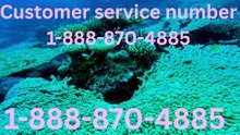 Ultimate Complete Trusted List of Priceline Customer Service Support and Assistance Guides