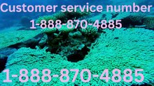 Expert Official Full Guide to Connect With Priceline Customer Service for Travel Assistance