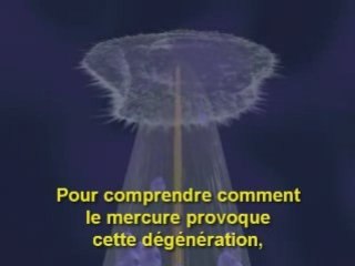 Amalgames dentaires : Danger mercure !